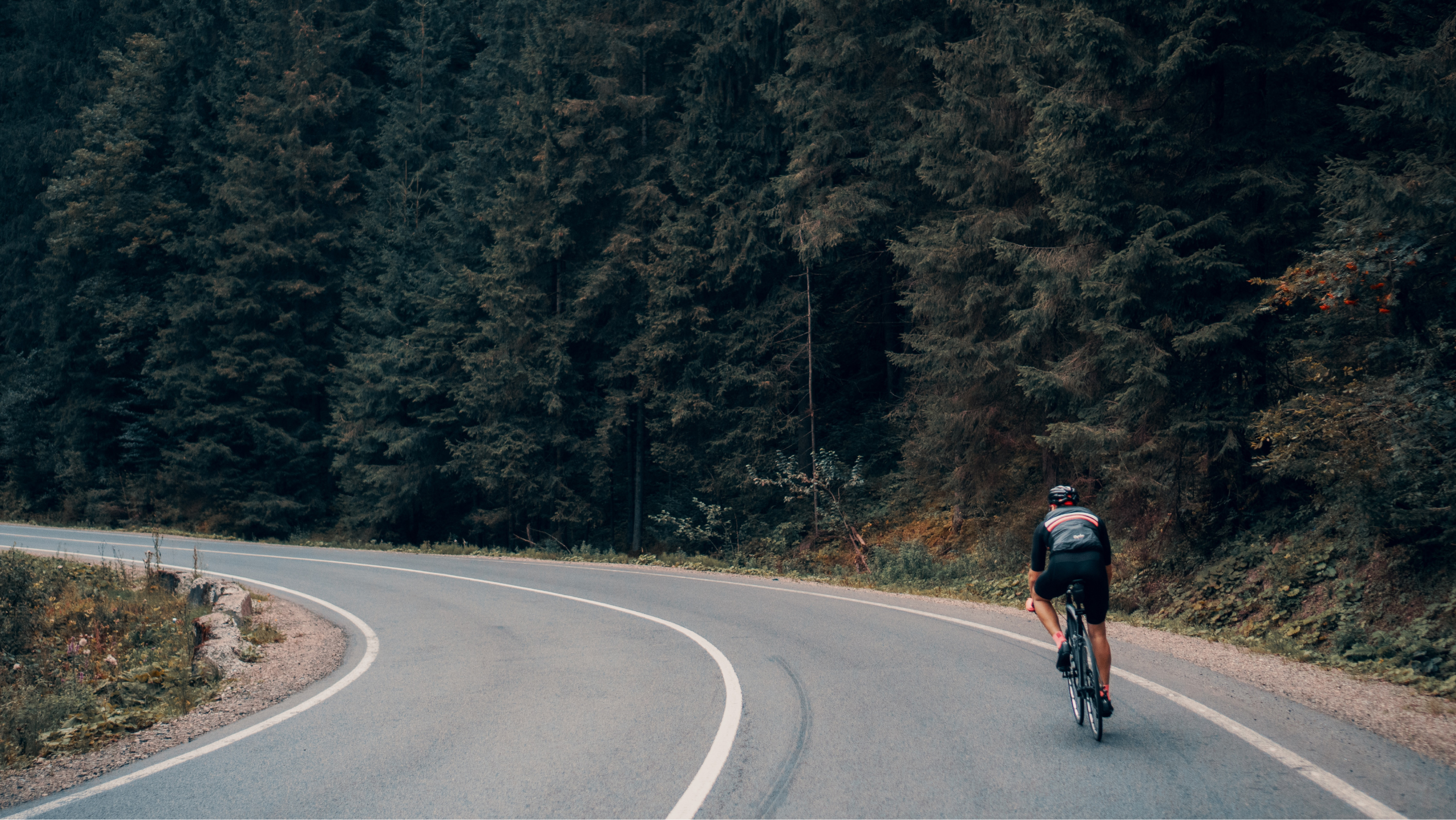 A road cyclist pushing into the wind in a forest